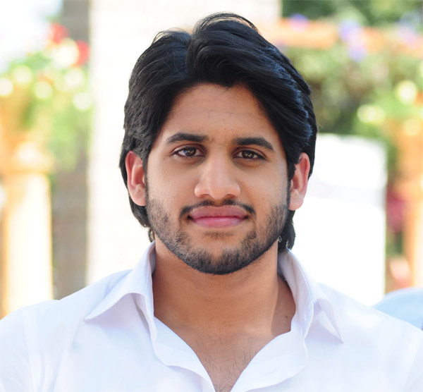 akkineni nagarjuna,naga chaitanya,samantha,evv sathyanarayana,omkar direction,rajugaari gadhi 2 movie  ఇంకా నోరు విప్పని చైతూ..!